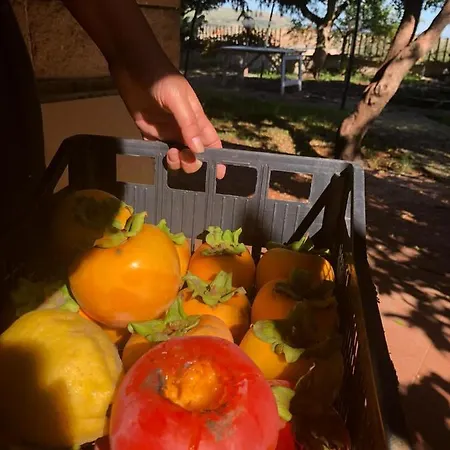 Alojamento de Acomodação e Pequeno-almoço Su Mere B&d Cheremule
