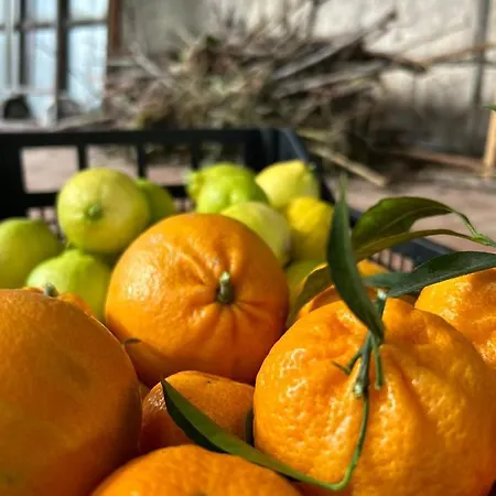 Su Mere B&d Alojamento de Acomodação e Pequeno-almoço Cheremule