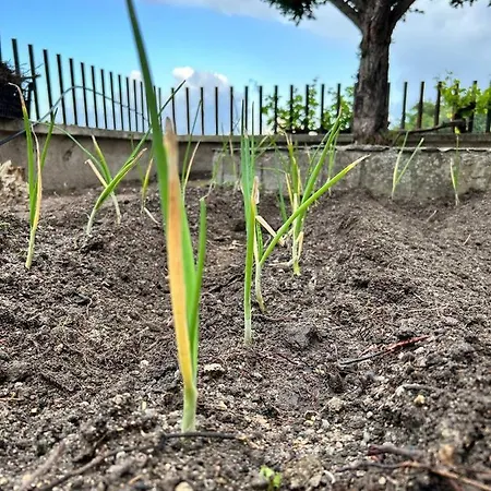 Su Mere B&d * Cheremule