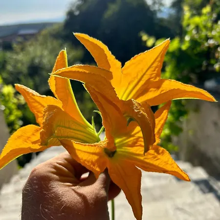 Su Mere B&d Alojamento de Acomodação e Pequeno-almoço Cheremule