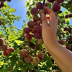 Su Mere B&d فندق مبيت وإفطار
