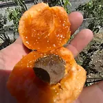 Su Mere B&d فندق مبيت وإفطار *
