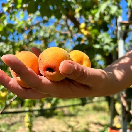 Su Mere B&d Bed & Breakfast *