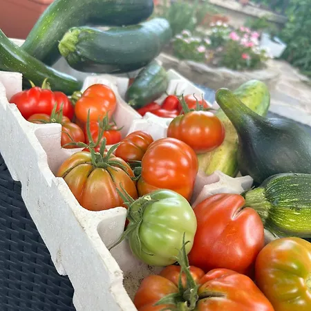 Su Mere B&d Cheremule