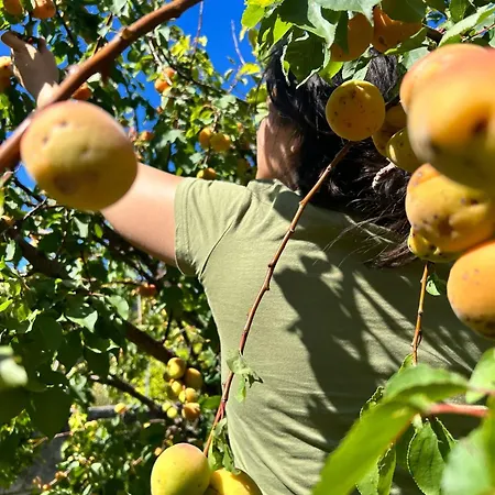 Bed & Breakfast Su Mere B&d Cheremule