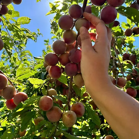 Su Mere B&d Bed & Breakfast