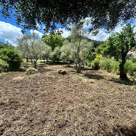 Bed & Breakfast Su Mere B&d *